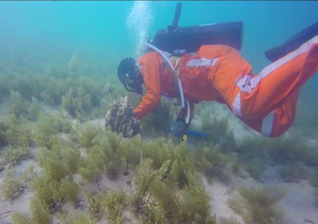 尊龙凯时【最新官网】人生就是搏!