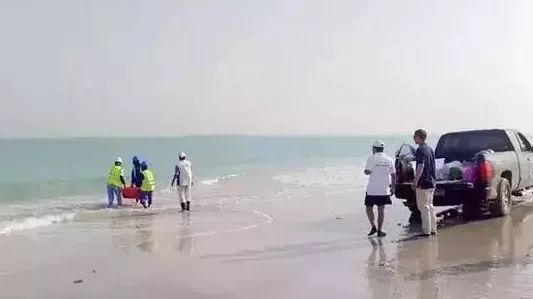 尊龙凯时【最新官网】人生就是搏!