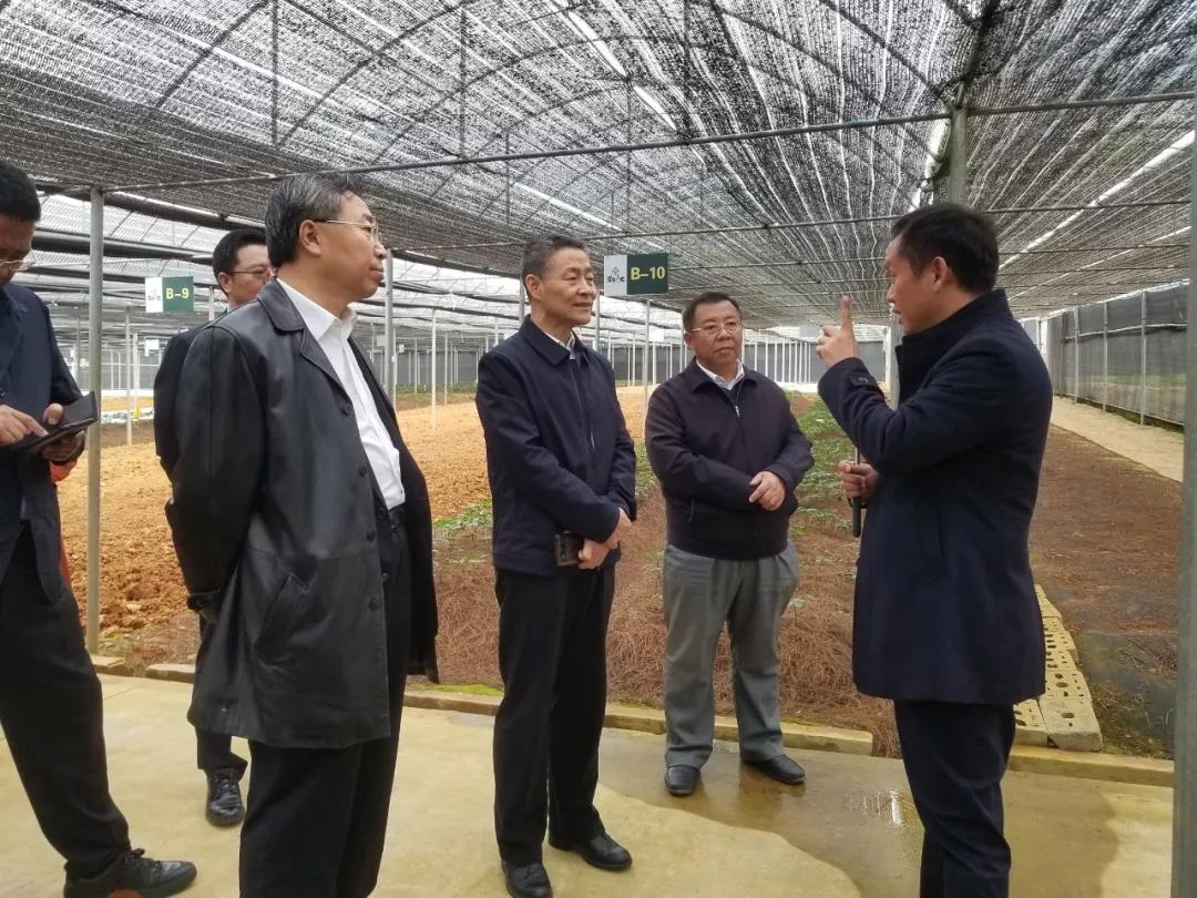 尊龙凯时【最新官网】人生就是搏!