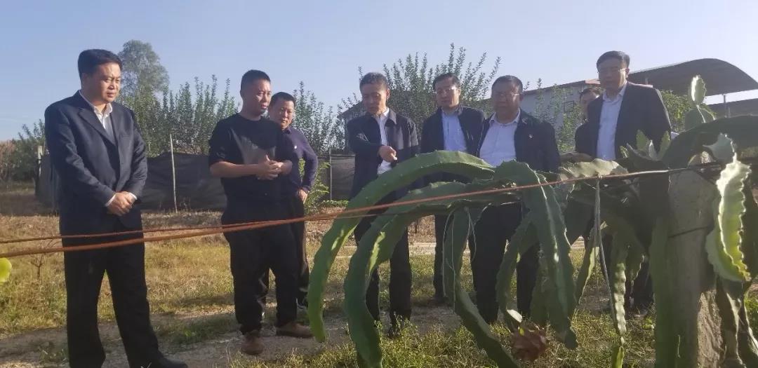 尊龙凯时【最新官网】人生就是搏!