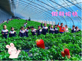 98DDE03A40C709A24BDE74535FE_D570A33C_3CEBC