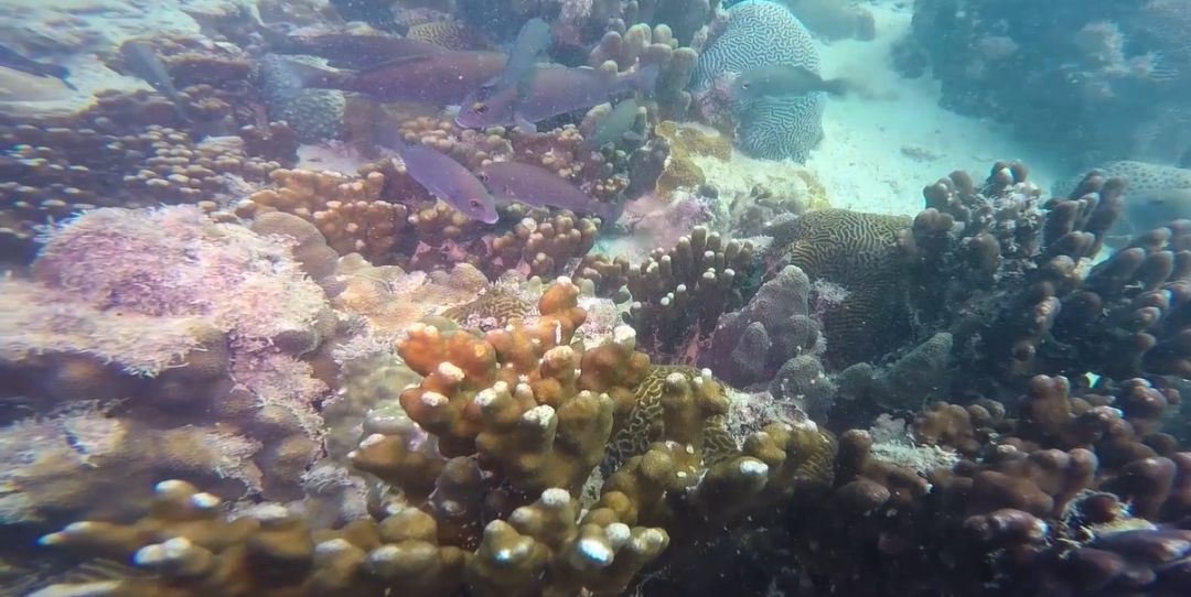 尊龙凯时【最新官网】人生就是搏!