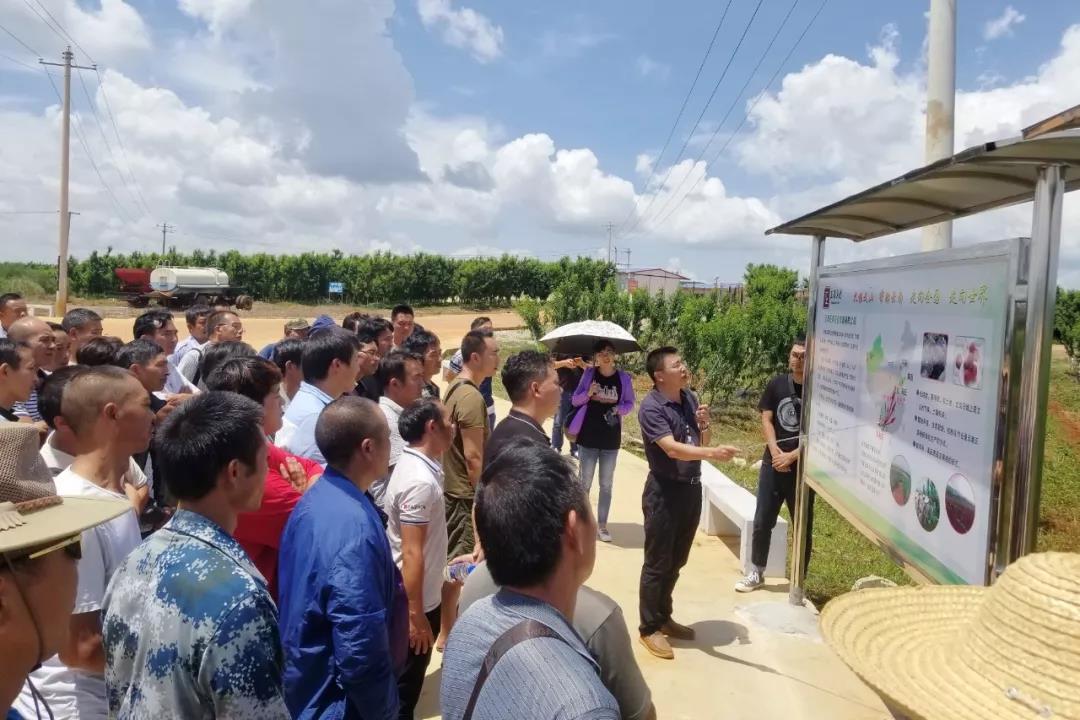 尊龙凯时【最新官网】人生就是搏!