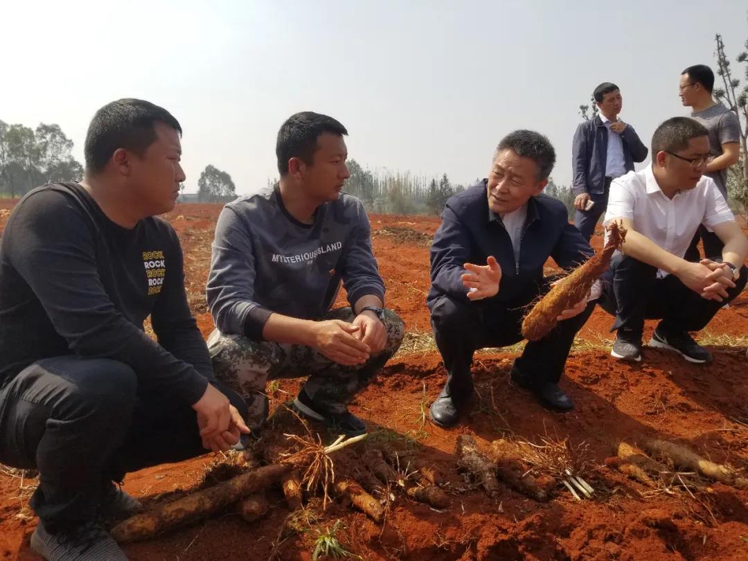 尊龙凯时【最新官网】人生就是搏!