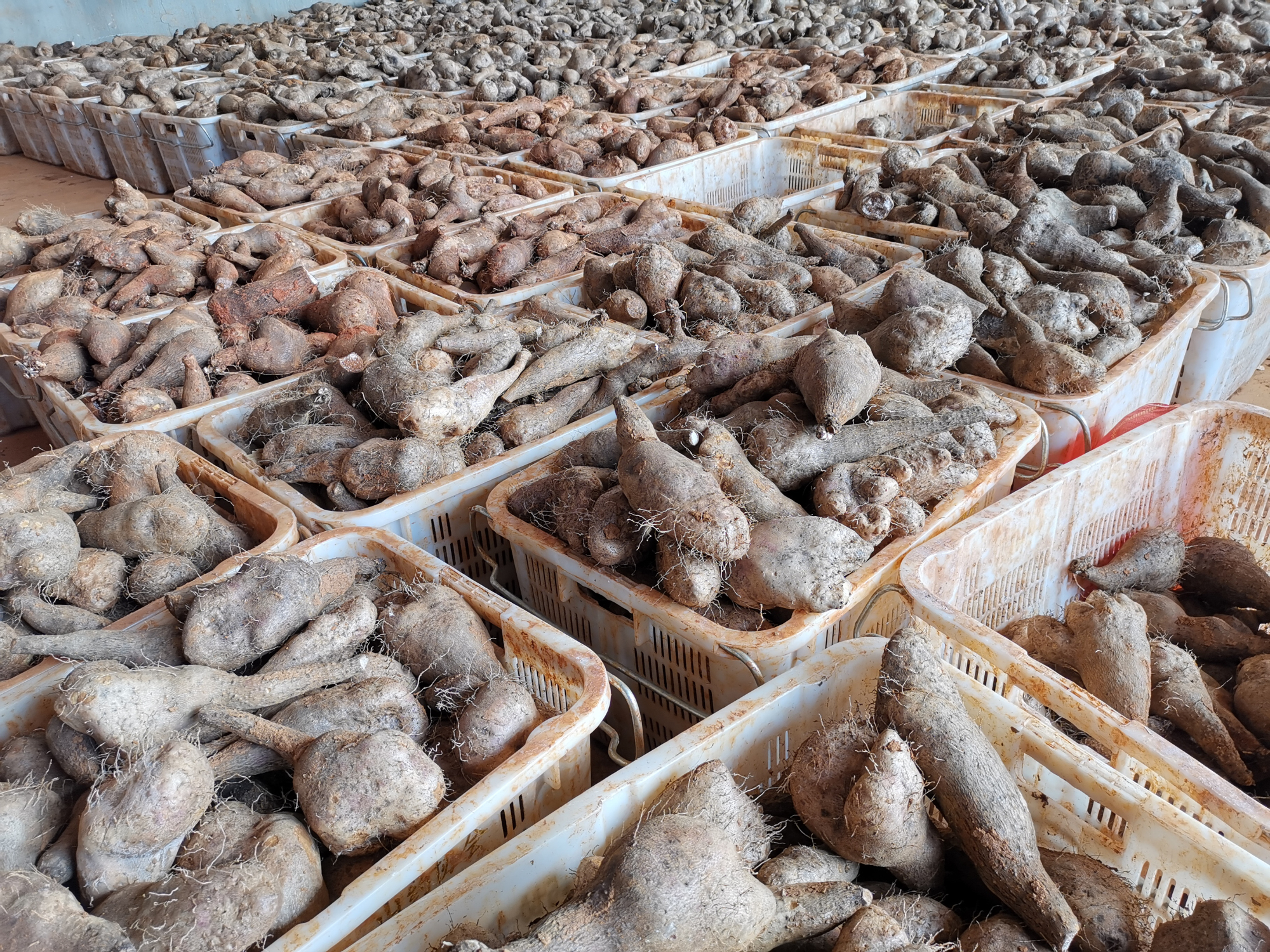 尊龙凯时【最新官网】人生就是搏!